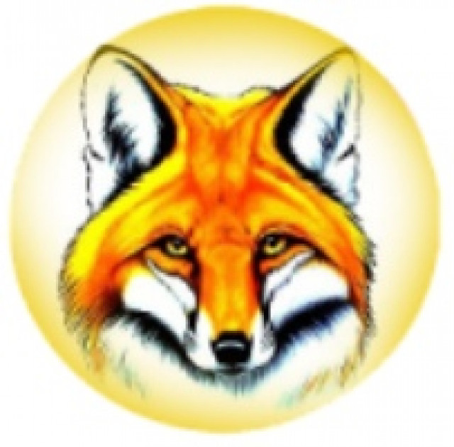 RADIO LISIZA – слушать радио онлайн